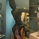 Image for article titled Here's Every Single Penis in the American Museum of Natural History